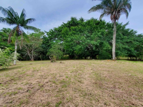 agua-buena-de-pavones-lot-for-sale
