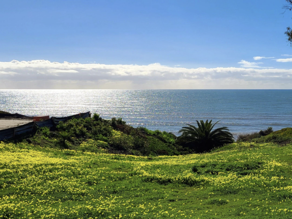 capistrano-beach-massive-ocean-view-lots