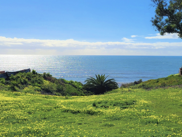 capistrano-beach-massive-ocean-view-lots