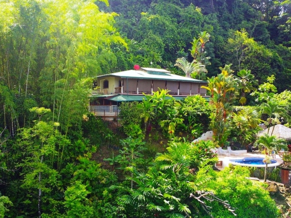 costa-rica-ocean-view-home-secluded-waterfall