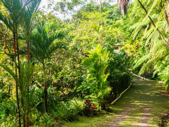 costa-rica-ocean-view-home-secluded-waterfall