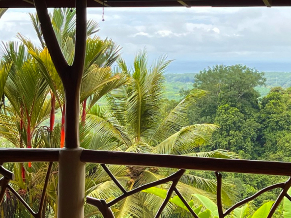 costa-rica-ocean-view-home-secluded-waterfall