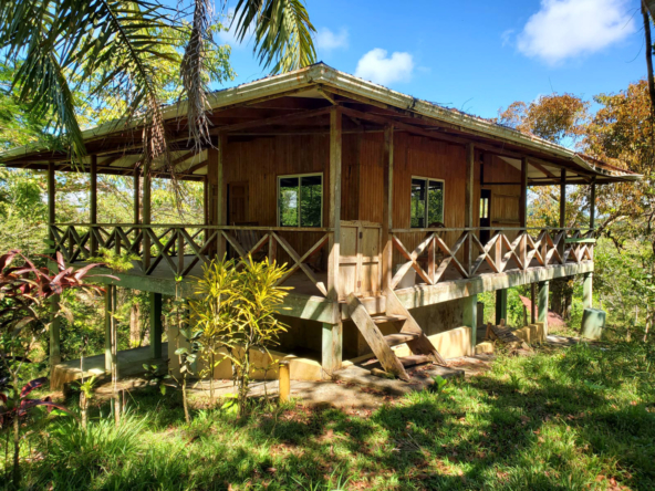 finca-caballo-blanco-pavones