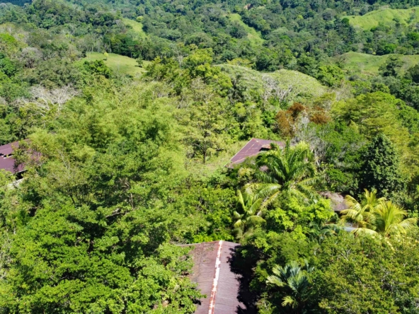finca-caballo-blanco-pavones