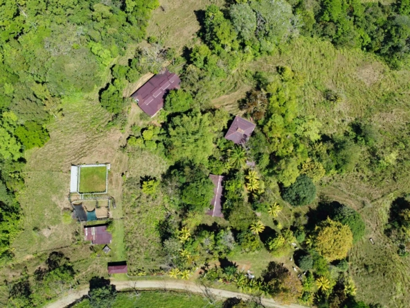 finca-caballo-blanco-pavones