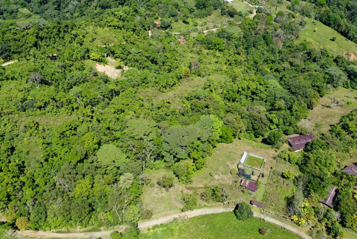 finca-caballo-blanco-pavones