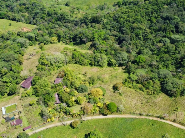 finca-caballo-blanco-pavones