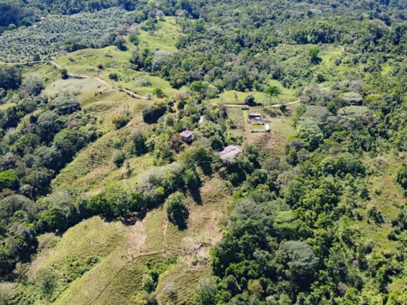 finca-caballo-blanco-pavones