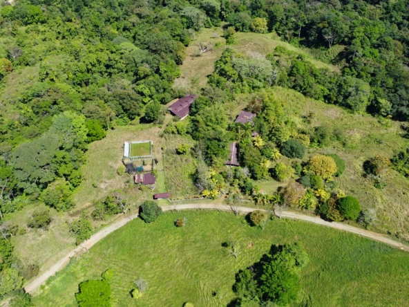 finca-caballo-blanco-pavones