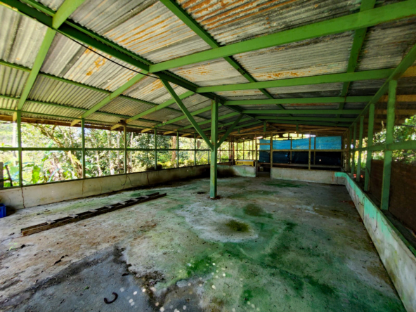 finca-caballo-blanco-pavones