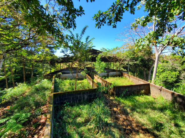 finca-caballo-blanco-pavones