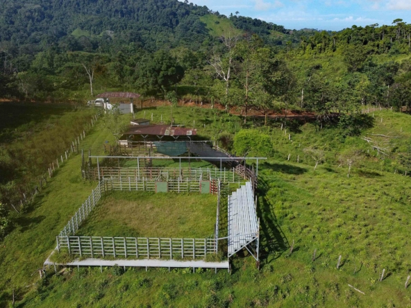 finca-caballo-blanco-pavones