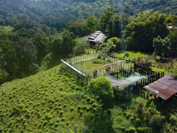 finca-caballo-blanco-pavones