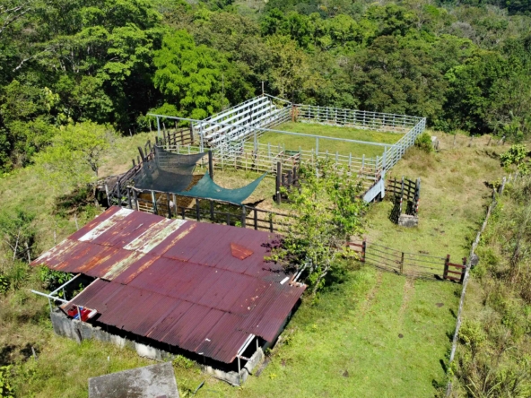 finca-caballo-blanco-pavones