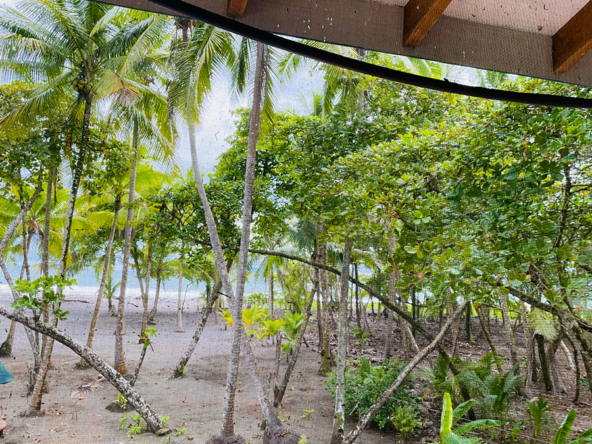 playa-zancudo-beach-lot-for-sale-2197M2