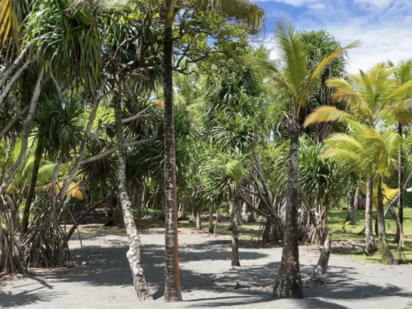 playa-zancudo-beach-lot-for-sale-2197M2
