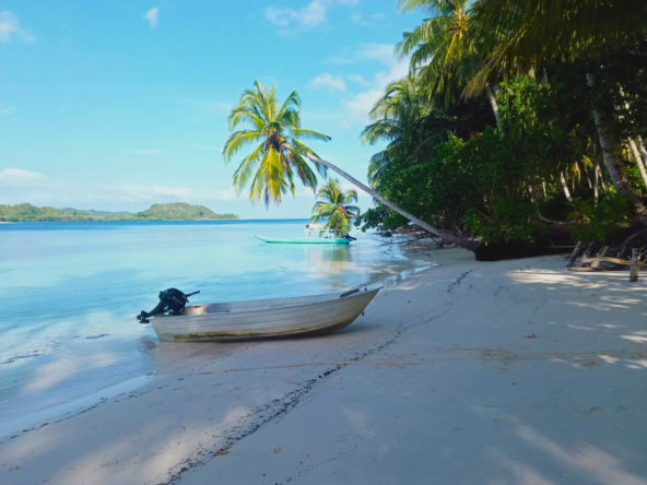 nalu-mentawai-private-surf-dream-for-sale