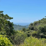 Ocean View Property with Creek and Building Sites