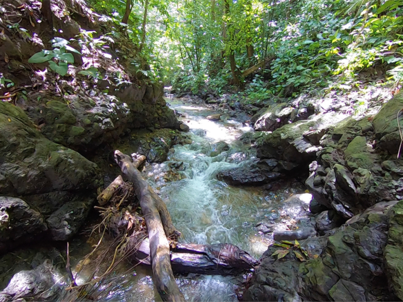 pavones-yerba-river-hike