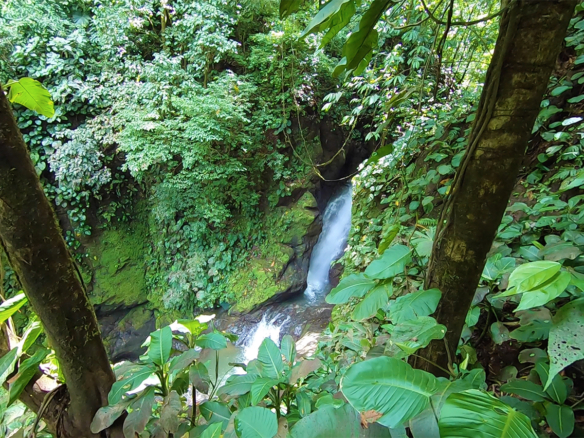 pavones-river-waterfall-hike