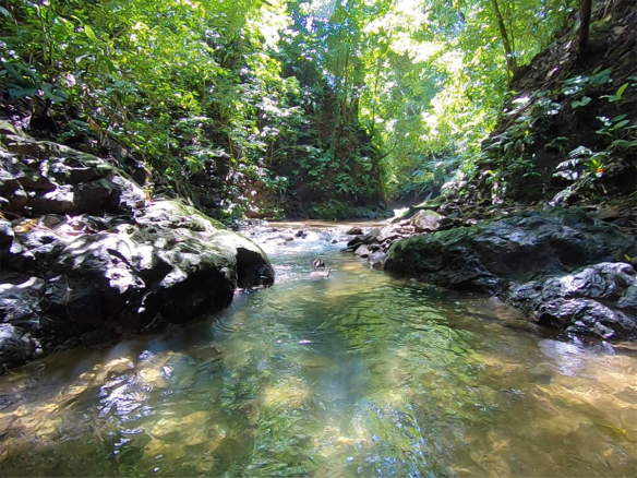 pavones-river-waterfall-hike