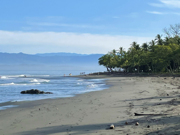 pavones-beach-living