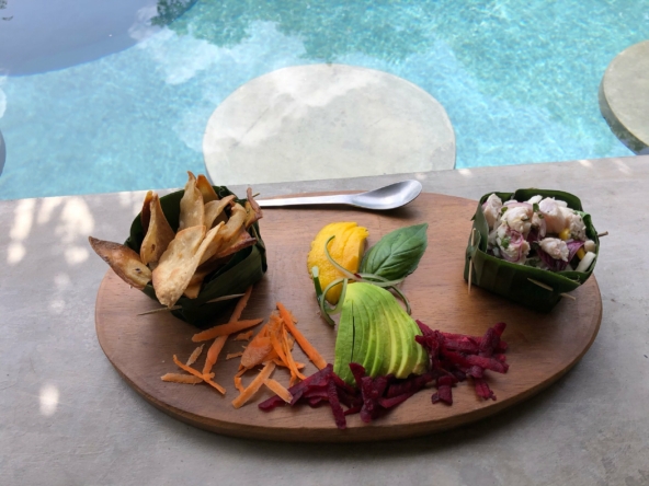 santosha-surf-sanctuary-wellness-retreat-for-sale