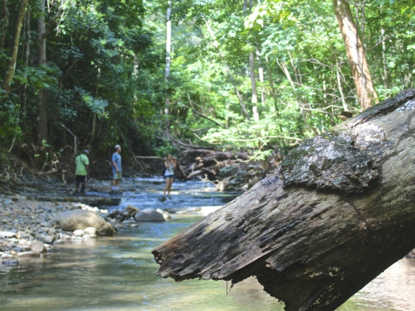 santosha-surf-sanctuary-wellness-retreat-for-sale