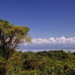 7-jungle-acres-with-ocean-view-pavones
