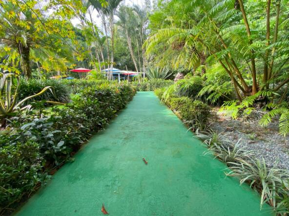 stunning-16-room-hotel-costa-rica