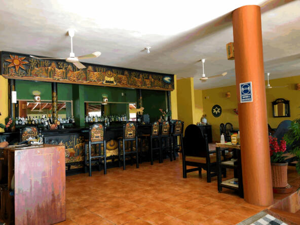 majahua-palms-saladita-hotel-for-sale