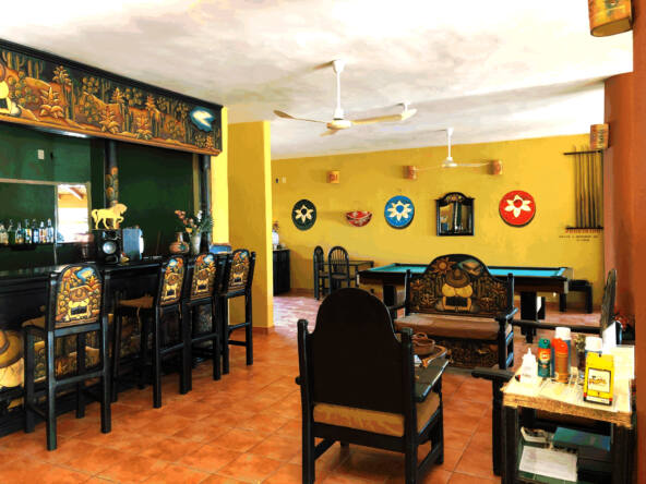 majahua-palms-saladita-hotel-for-sale