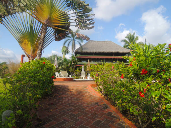 majahua-palms-saladita-hotel-for-sale
