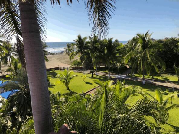 majahua-palms-saladita-hotel-for-sale