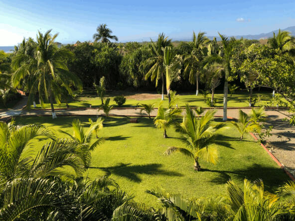 majahua-palms-saladita-hotel-for-sale