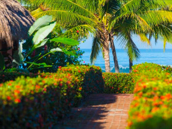 majahua-palms-saladita-hotel-for-sale