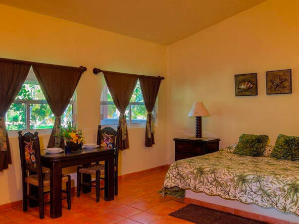 majahua-palms-saladita-hotel-for-sale