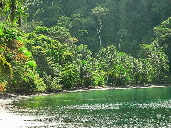 osa-waterfront-lodge-for-sale