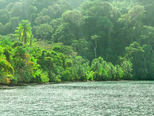 osa-waterfront-lodge-for-sale