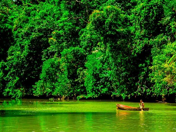 osa-waterfront-lodge-for-sale