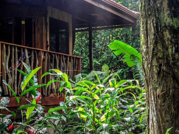 osa-waterfront-lodge-for-sale