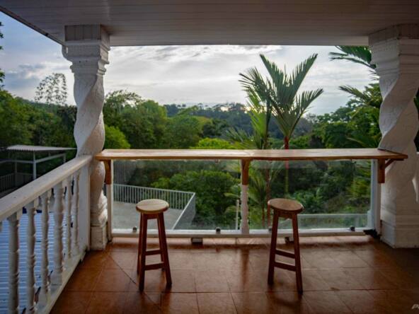 House-and-Pool-With-Ocean-View-pavones