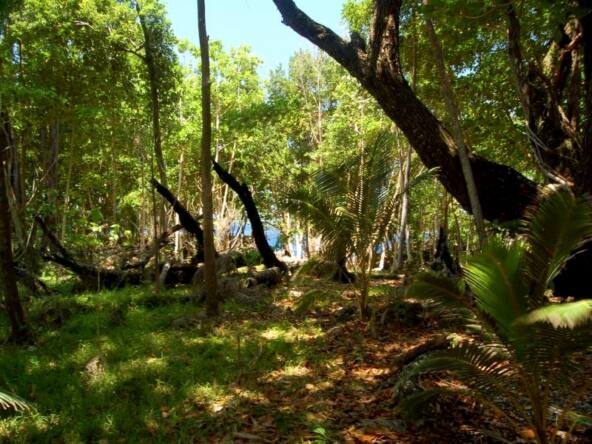 Tuvana-Island-for-sale-vanuatu