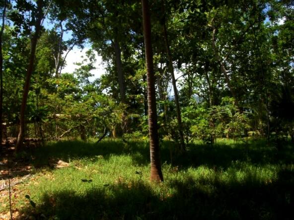 Tuvana-Island-for-sale-vanuatu