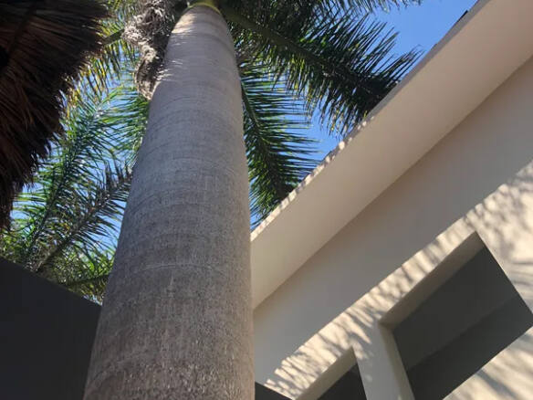 casa-cuchara-saladita-beach-house
