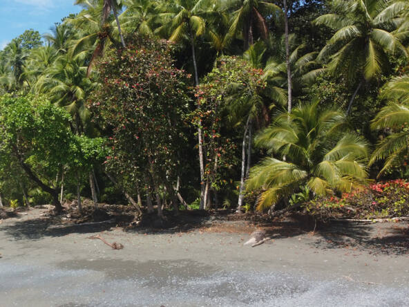 punta-banco-pavone-titled-lots-for-sale