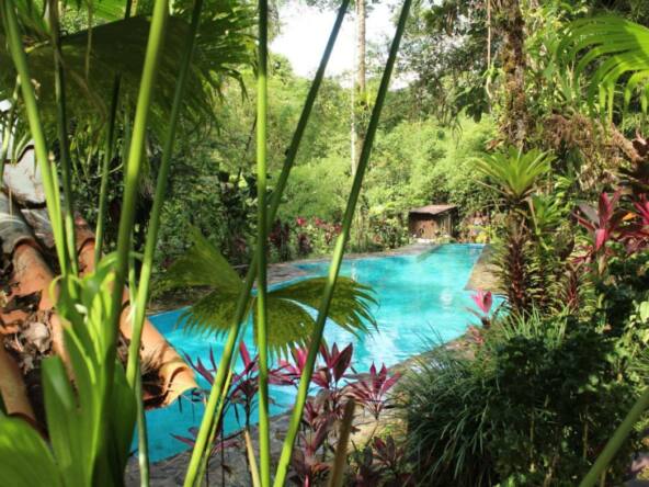 8-room-ecolodge-on-10-hectares-with-jungle-and-volcano-views