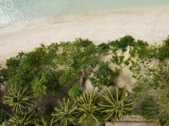 boutique-beach-bungalows-mentawai