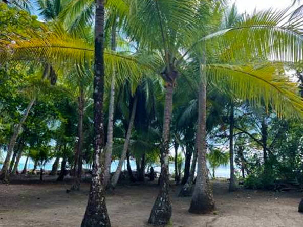 costa-rica-beachfront-fixer-on-playa-zancudo