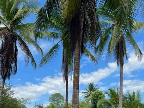 costa-rica-beachfront-fixer-on-playa-zancudo